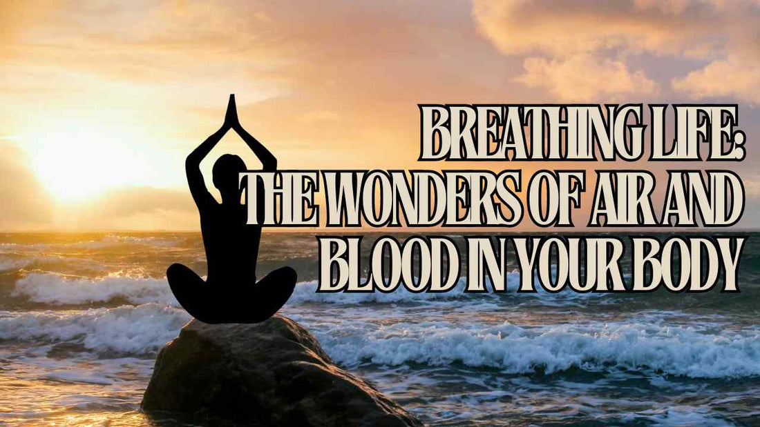 CHAPTER 3A - Breathing Life: The Wonders of Air and Blood in Your Body