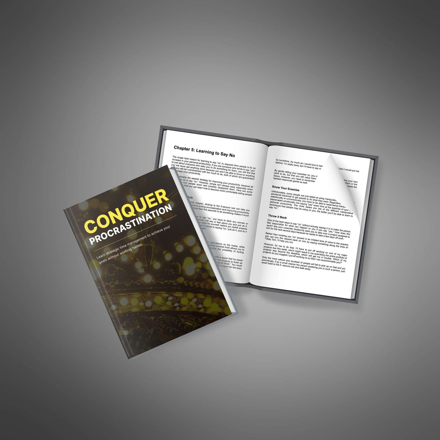 Conquer Procrastination EBOOK